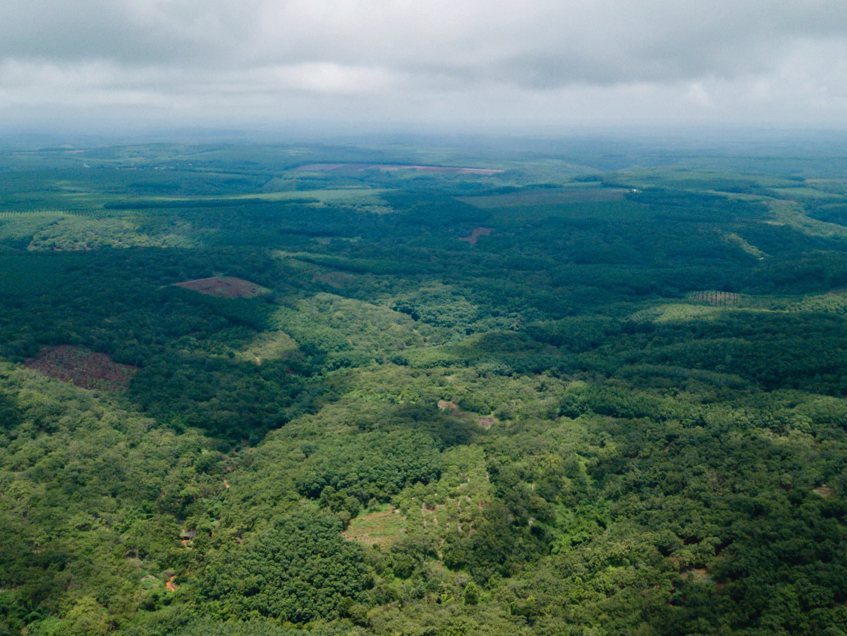 BÌNH PHƯỚC – THE CASHEW CAPITAL OF VIETNAM